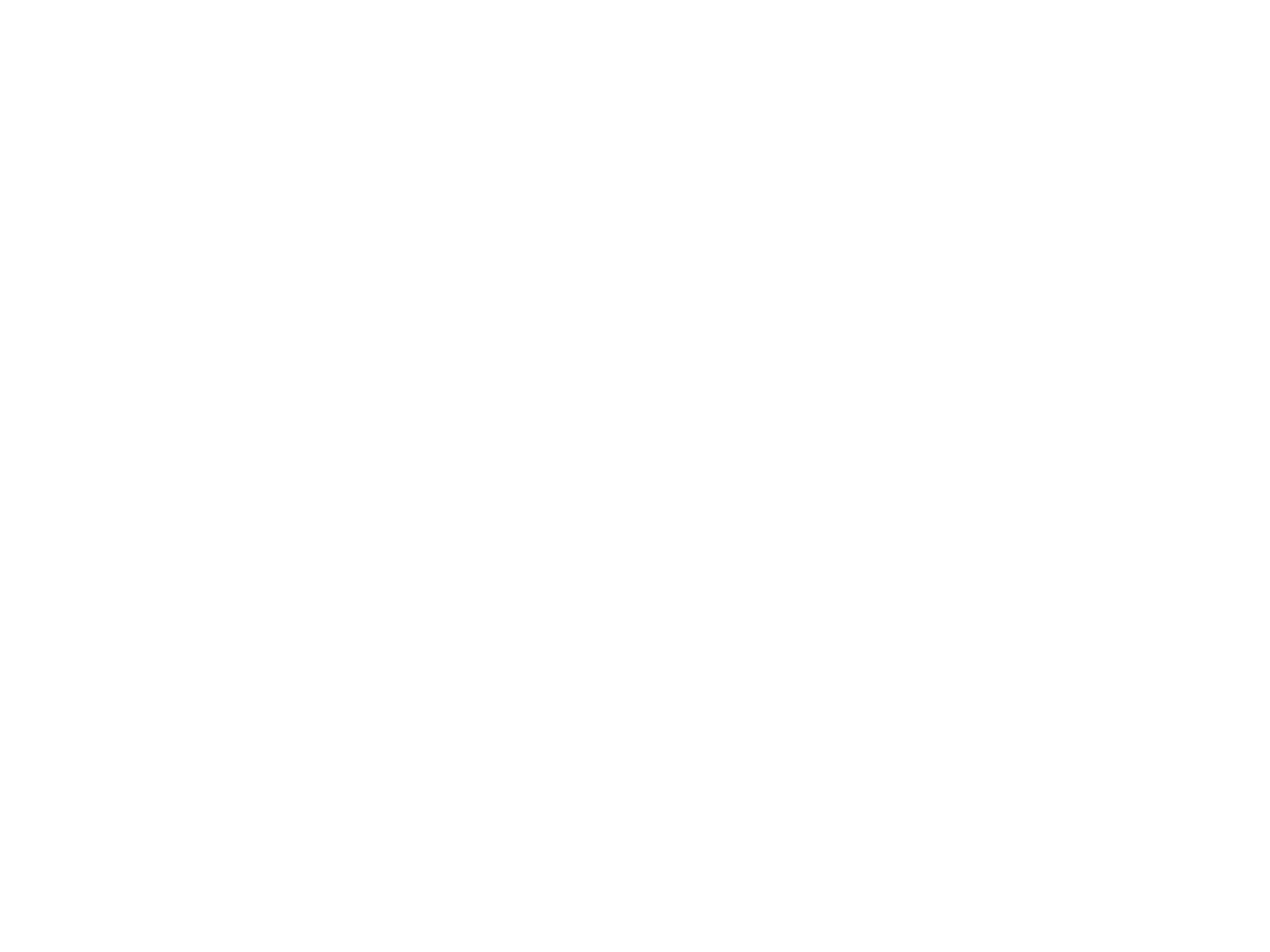 privatization